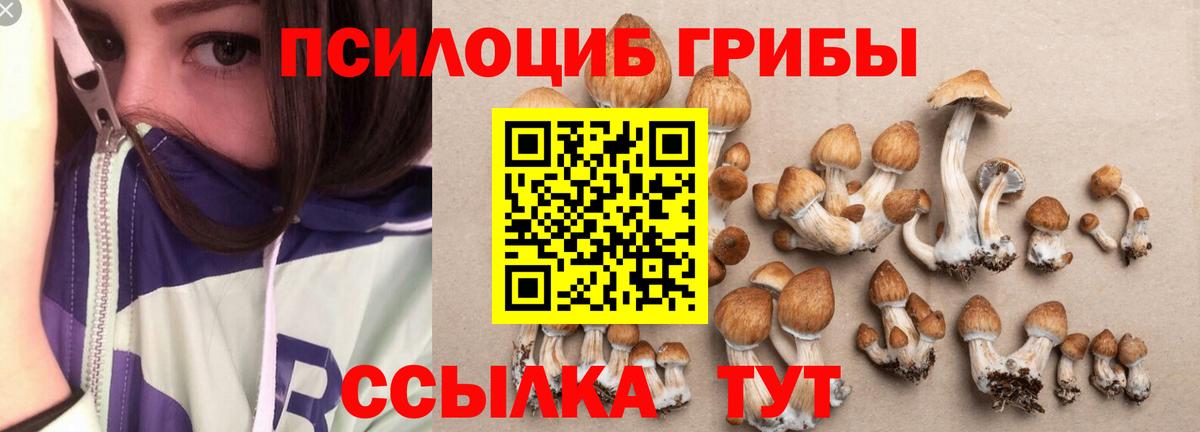 Псилоцибиновые грибы мухоморы  Псилоцибиновые грибы прущие грибы  Анжеро-Судженск  Вход с VPN 